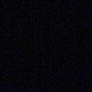 Meet your Posher, Daisy